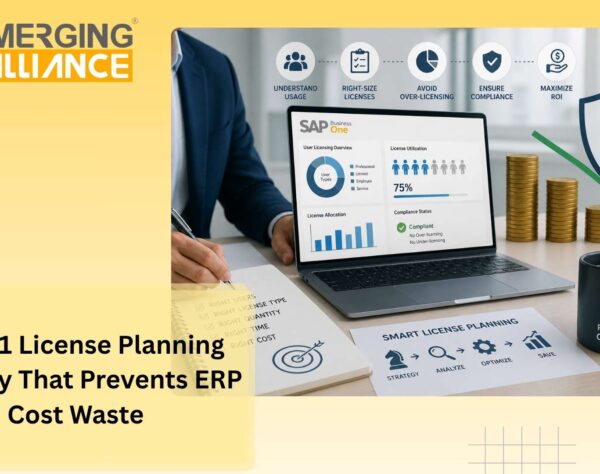 SAP B1 License strategy for scalable enterprise growth and SAP Business One cost optimization