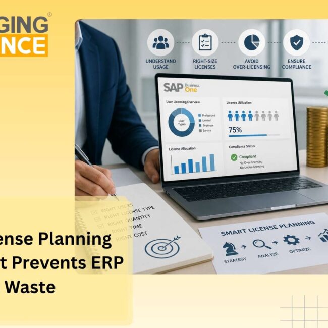 SAP B1 License strategy for scalable enterprise growth and SAP Business One cost optimization