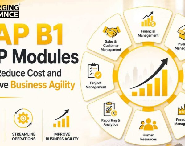 SAP B1 ERP modules dashboard showing finance, inventory, and enterprise operations management