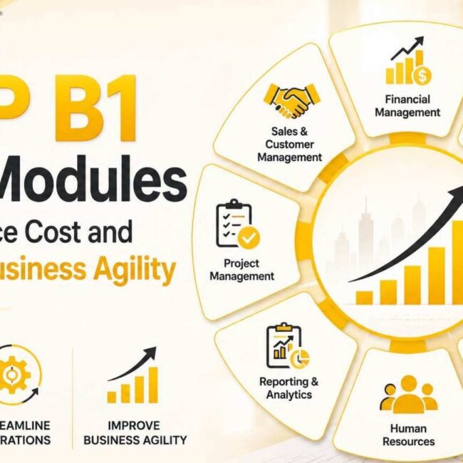 SAP B1 ERP modules dashboard showing finance, inventory, and enterprise operations management