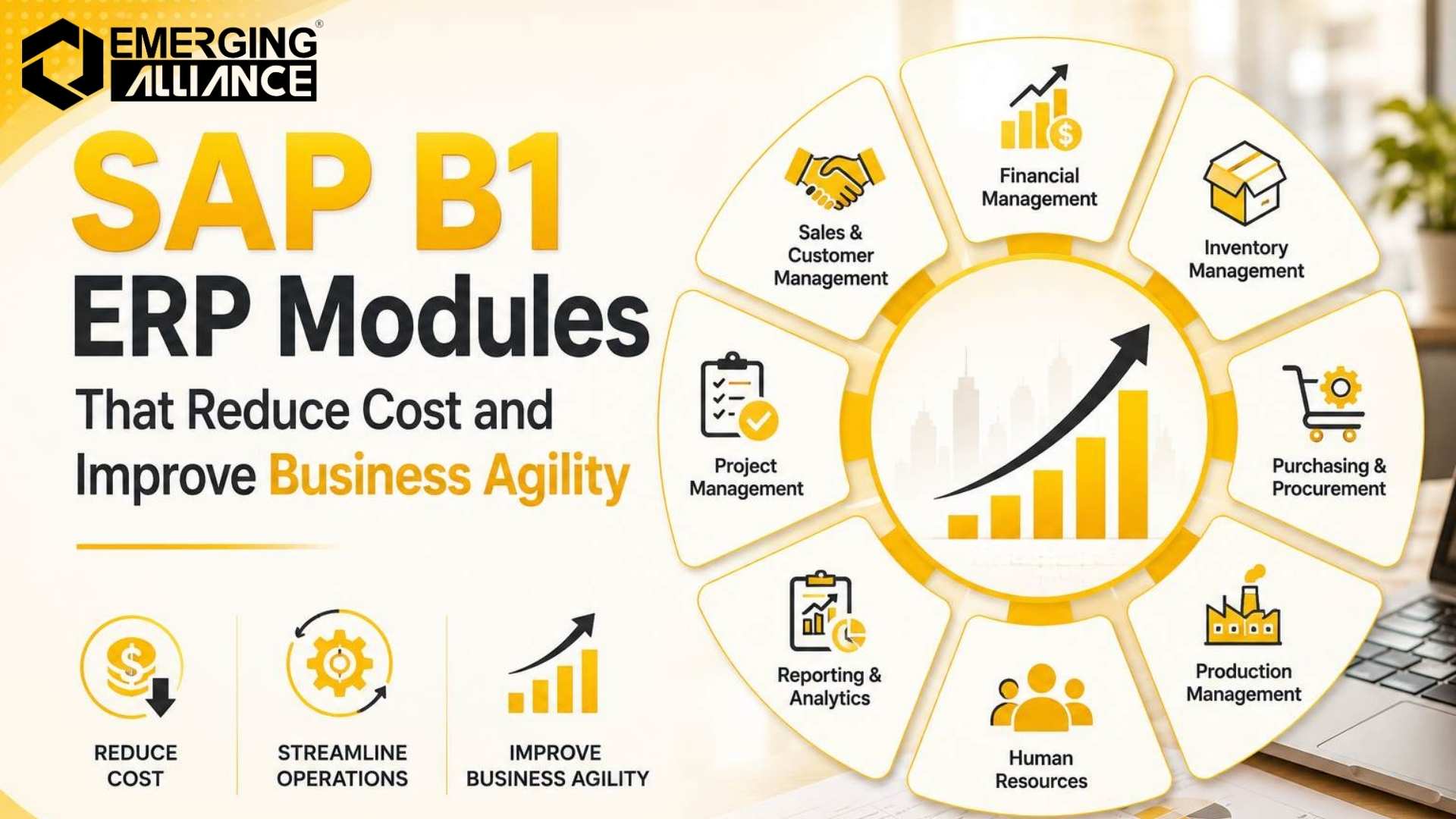 SAP B1 ERP modules dashboard showing finance, inventory, and enterprise operations management