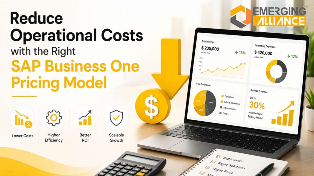 SAP Business One pricing Transformation strategy for business growth