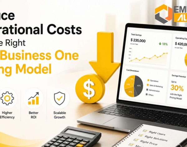 SAP Business One pricing Transformation strategy for business growth