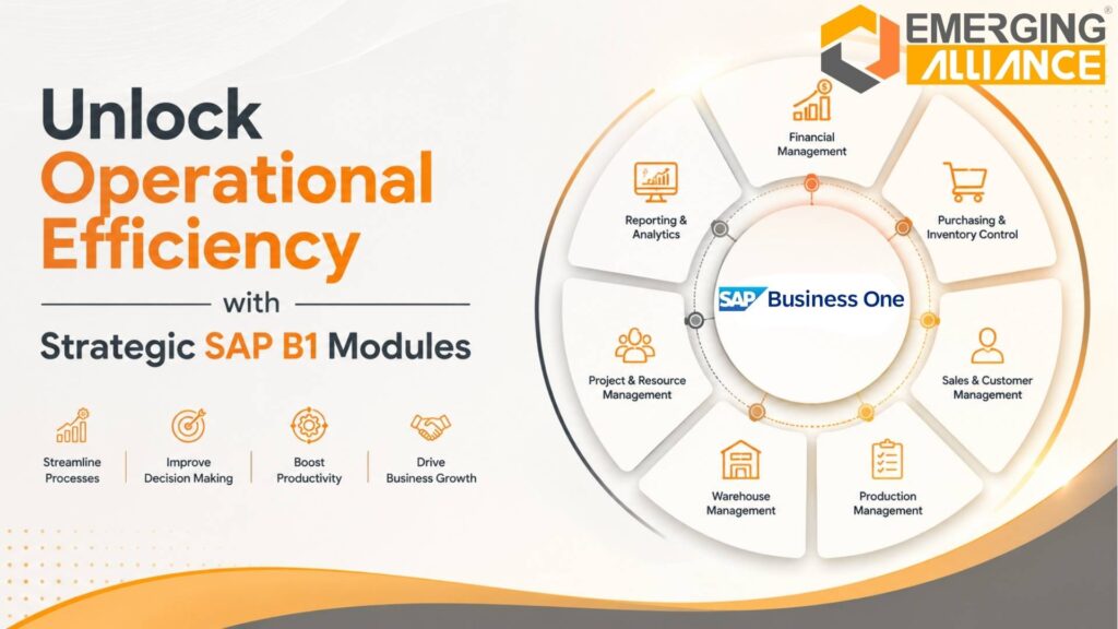 SAP B1 Modules dashboard showing finance, manufacturing