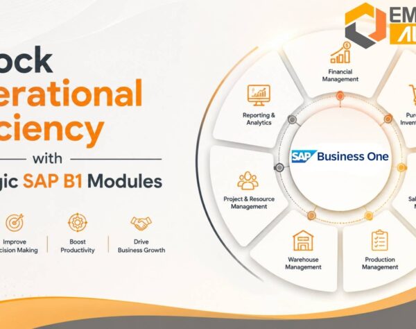 SAP B1 Modules dashboard showing finance, manufacturing, integration for enterprise operations