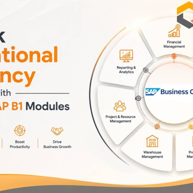 SAP B1 Modules dashboard showing finance, manufacturing, integration for enterprise operations