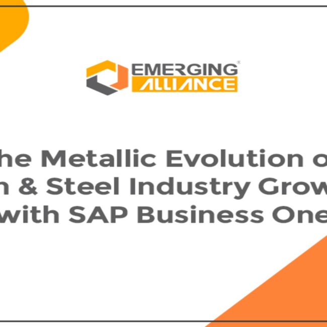 Iron and steel manufacturer using SAP Business One to improve production efficiency and supply chain management.