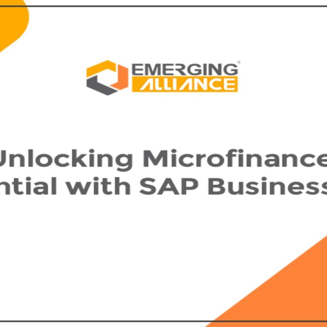 Microfinance institution leveraging SAP Business One to improve financial management and operational efficiency.