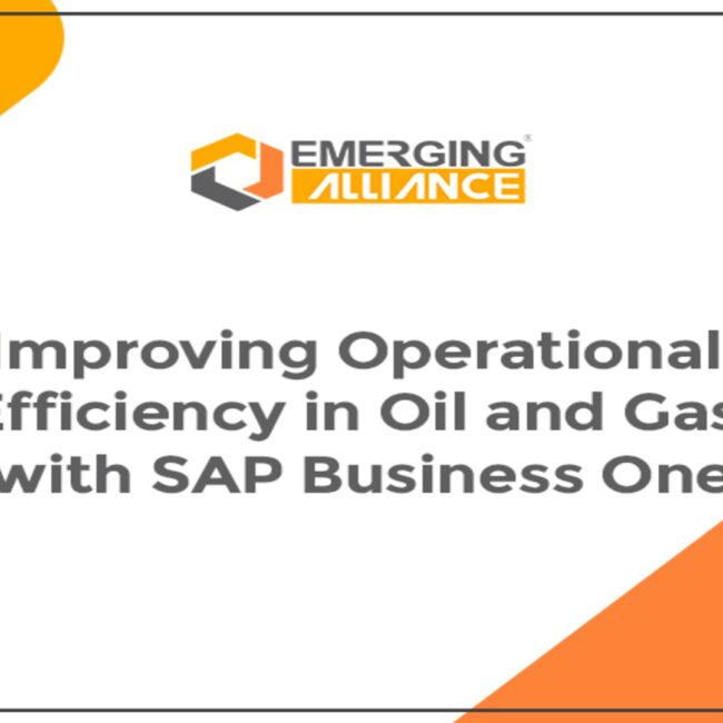 Oil and gas company using SAP Business One to improve operational efficiency, supply chain visibility, and performance.
