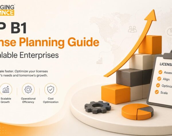 SAP B1 License planning dashboard showing scalable enterprise growth, cost optimization and business expansion planning.