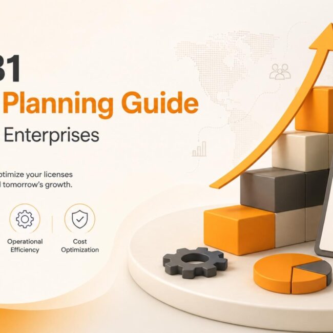 SAP B1 License planning dashboard showing scalable enterprise growth, cost optimization and business expansion planning.