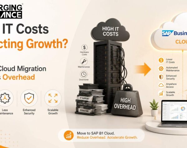 SAP B1 Cloud Migration helping businesses reduce infrastructure costs and improve operational efficiency.