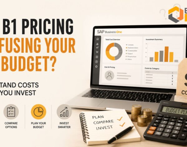 Business executives evaluating SAP B1 Pricing, licensing, implementation costs, and ERP budget planning for digital transformation.
