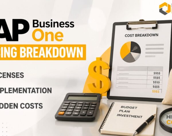 SAP Business One Pricing Breakdown showing ERP licenses, implementation costs, hidden expenses, and total cost of ownership for business planning