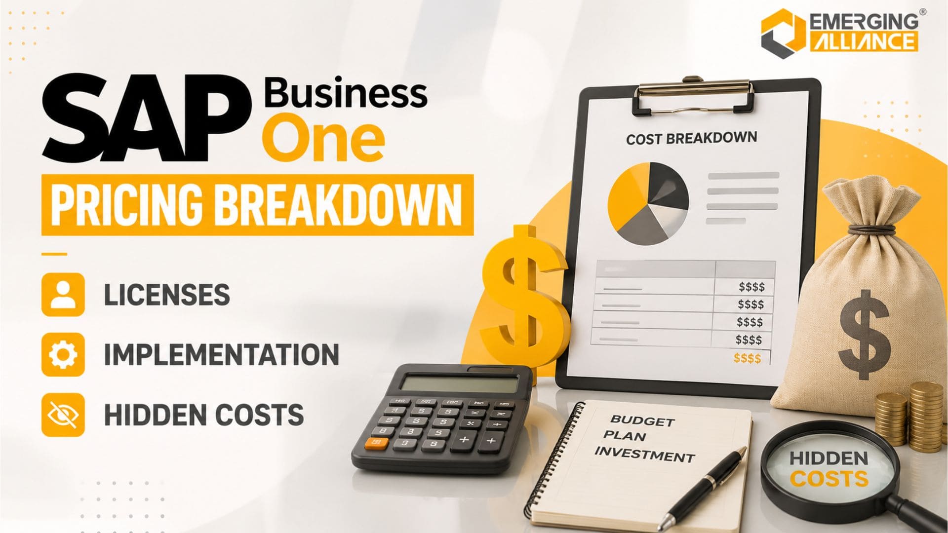 SAP Business One Pricing Breakdown showing ERP licenses, implementation costs, hidden expenses, and total cost of ownership for business planning