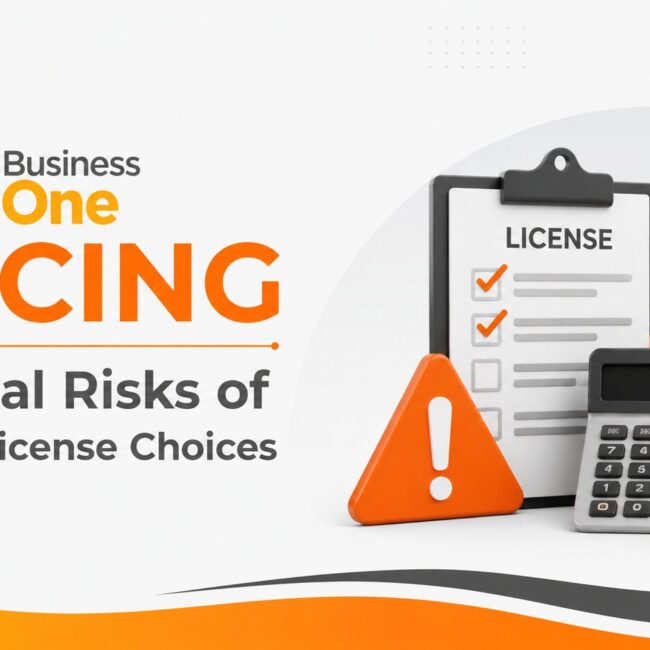 SAP Business One Pricing analysis showing license costs, implementation expenses, add-ons, and total cost of ownership risks.