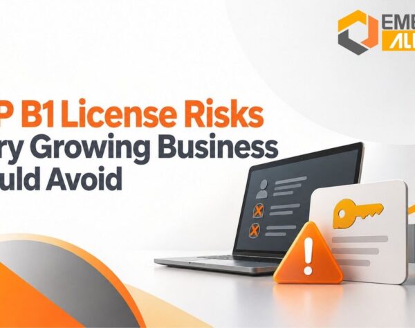 SAP B1 License Risks Every Growing Business Should Avoid